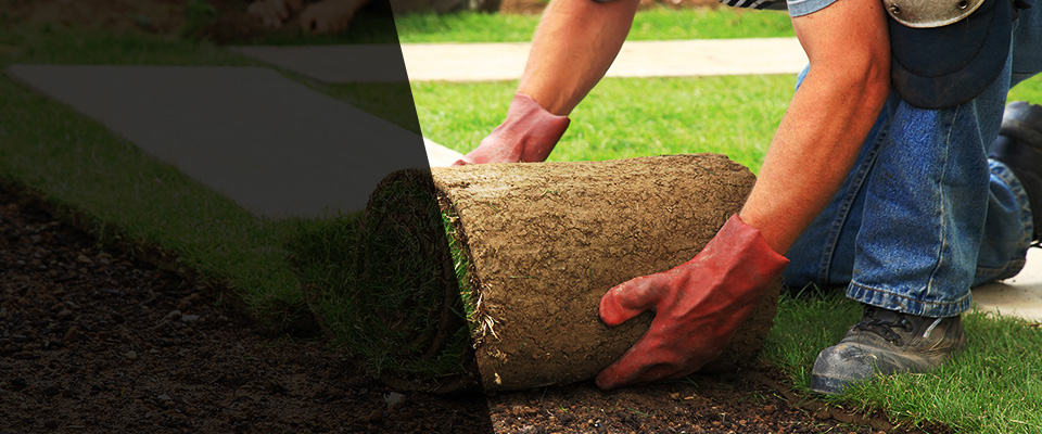 Broadview Heights Landscapers